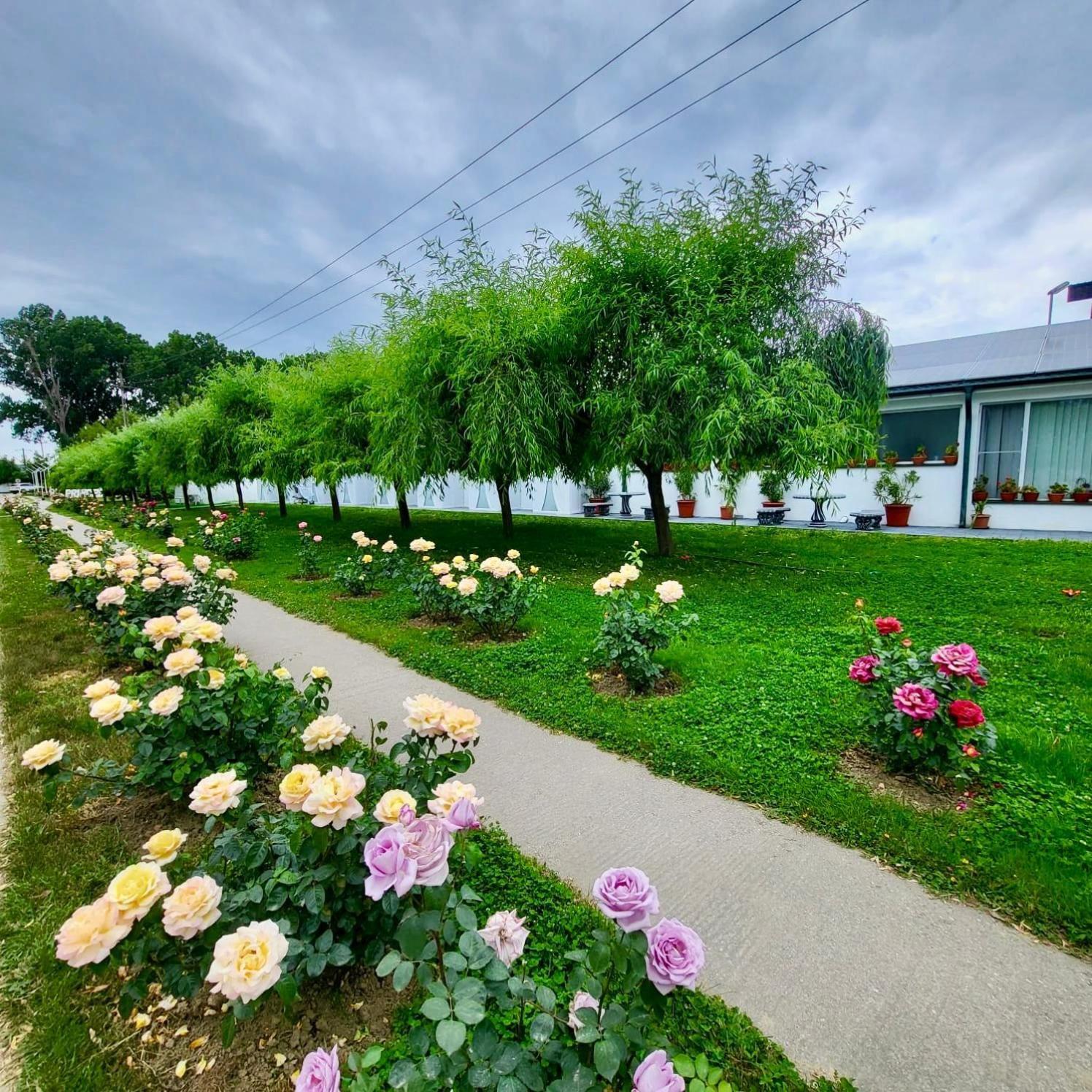 Royal Park Complex Hotell Bascov Exteriör bild